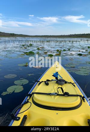 Une des choses que j'aime faire pour les loisirs de plein air dans le comté de Door est le kayak dans les nombreux ruisseaux et lacs intérieurs là-bas, ainsi que le lac Michigan. Banque D'Images