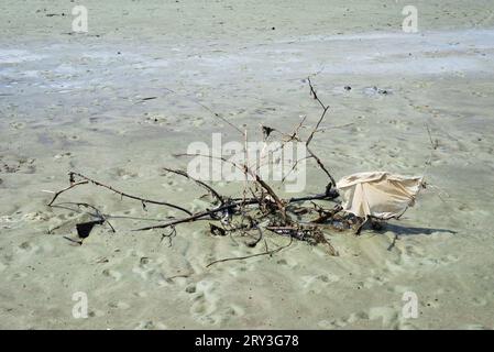 Branches et morceau de bois flottant dans une rivière jaune. Environnement changeant. Banque D'Images