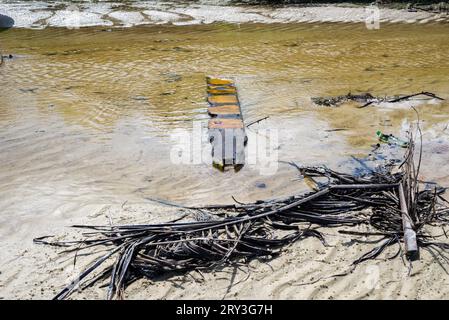 Branches et morceau de bois flottant dans une rivière jaune. Environnement changeant. Banque D'Images