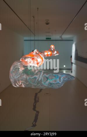 À l'intérieur de l'installation du tube de lave au musée la Casa de los Volcanes (Maison des volcans). Jameos del Agua, série de grottes de lave et un art, la culture et Banque D'Images