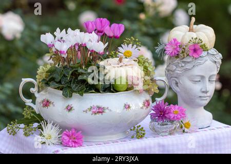 arrangement floral avec des fleurs de cyclamen et des citrouilles blanches dans une soupe vintage Banque D'Images