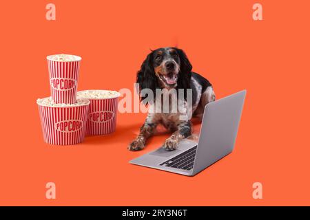 Mignon chien Cocker Spaniel avec des seaux de pop-corn et ordinateur portable couché sur fond orange Banque D'Images