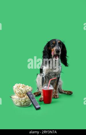 Mignon chien cocker Spaniel avec des bols de pop-corn, soda et télécommande de télévision assis sur fond vert Banque D'Images