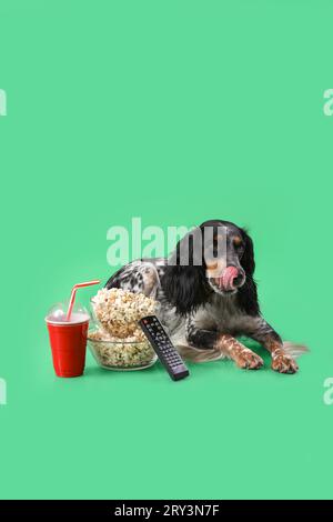 Mignon chien Cocker Spaniel avec des bols de pop-corn, soda et télécommande TV couché sur fond vert Banque D'Images