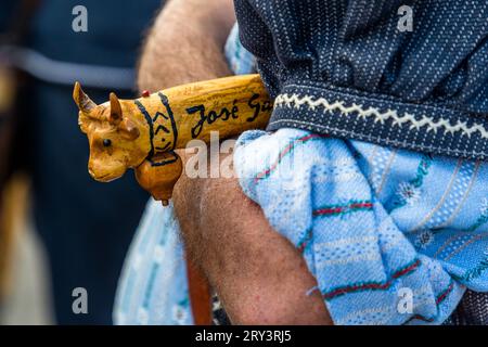 Le bétail cérémoniel automnal conduit des pâturages de montagne dans la vallée de Plaffeien, en Suisse. Procession alpine à Oberschrot. Chaque année en automne, le bétail est conduit de l'été sur l'alp au village en procession. Banque D'Images