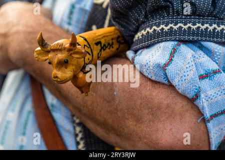 Le bétail cérémoniel automnal conduit des pâturages de montagne dans la vallée de Plaffeien, en Suisse. Procession alpine à Oberschrot. Chaque année en automne, le bétail est conduit de l'été sur l'alp au village en procession. Banque D'Images