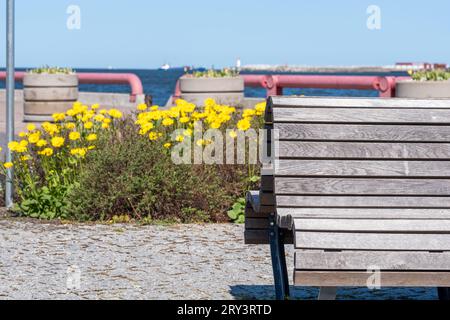 Un banc en bois avec une structure en bois intéressante. Fleurs jaunes, clôture en béton avec des tuyaux roses le long de la mer, ciel clair et navires au loin Banque D'Images