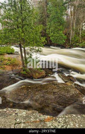 Rapids juste au-dessus de Buttermilk Falls, Adirondack Park, long Lake, Hamilton County, New York Banque D'Images