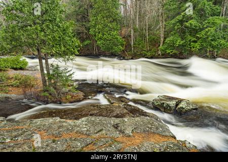 Rapids juste au-dessus de Buttermilk Falls, Adirondack Park, long Lake, Hamilton Co., New York Banque D'Images