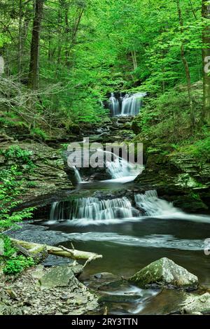 B Reynolds Falls, Ricketts Glen State Park ; Pennsylvanie Banque D'Images