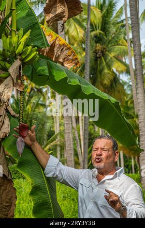 Zihuatanejo, Mexique - 18 juillet 2023 : Parque Ecoturístico llamado la Chanequera. Un agriculteur montre et parle de l'inflorescence bananaise Banque D'Images