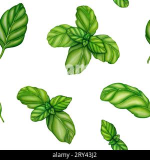 Dessin au basilic motif sans couture. Plante isolée avec fond de feuilles. Illustration d'aquarelle à base de plantes. Croquis détaillé du produit biologique. Cuisson épicée Banque D'Images