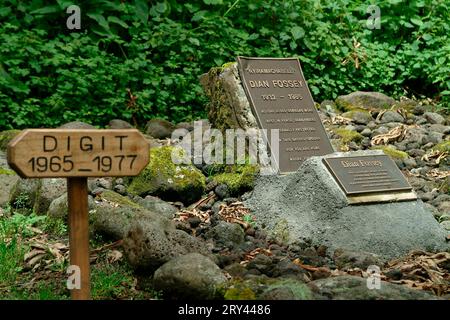 Tombes du primatologue Dian Fossey et Gorilla Digit, Karisoke, Rwanda Banque D'Images