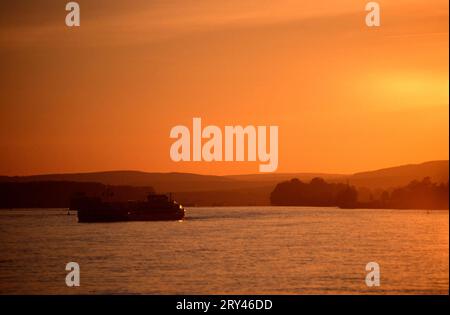 Bateau sur le Rhin au coucher du soleil, Ostrich-Winkel, Hesse, bateau sur le Rhin au coucher du soleil, Oestrich-Winkel, Rheingau, Oestrich-Winkel, Allemagne Banque D'Images