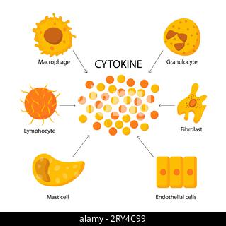 Concept de vecteur de structure de cytokine Illustration de Vecteur