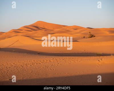 Dunes désertiques de l'Erg Chebbi, Merzouga , Maroc Banque D'Images