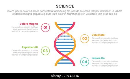 infographie de la recherche en santé et en sciences modèle d'étape 4 points avec concept de double hélice d'adn pour vecteur de présentation de diapositives Banque D'Images