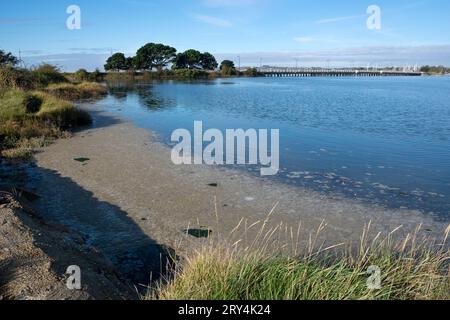 Pollution dans le port de Langstone, Hayling Island, Hampshire, Royaume-Uni Banque D'Images