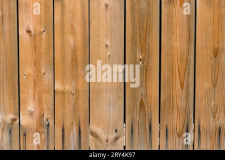 Texture de planches de clôture en bois de cèdre naturel avec nœuds et grain vertical. Banque D'Images