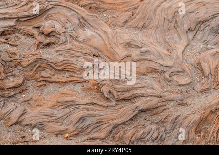 Résumé gros plan d'un tronc d'arbre endommagé par le sel échoué sur le bord de la mer à Vancouver, Canada. Les fissures profondes et les rainures font des textures de bois intéressantes. Banque D'Images