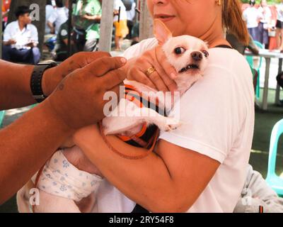 Navotas, Philippines. 28 septembre 2023. Un chien mignon semble vacciné, car elle se fait vacciner pendant que son propriétaire regarde. Dans le cadre de la célébration de la Journée mondiale de la rage, le gouvernement de la ville de Navotas dirigé par le bureau de l'agriculture de la ville de Navotas, a procédé à la vaccination gratuite des chiens et des chats et à l'enregistrement des animaux de compagnie. Ils ont également donné gratuitement de la nourriture pour animaux de compagnie à ceux qui ont participé au programme. (Photo Josefiel Rivera/SOPA Images/Sipa USA) crédit : SIPA USA/Alamy Live News Banque D'Images