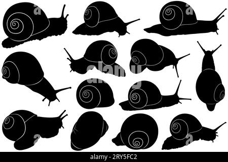 Ensemble de différentes silhouettes d'escargot isolées sur blanc Banque D'Images