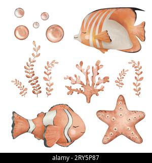Ensemble de poissons anémonefish ou clownfish en couleur orange, noir et blanc et étoiles de mer, corail marin, algues marines. Illustration à l'aquarelle dessinée à la main de la mer Banque D'Images