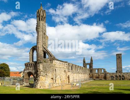 Cathédrale St Andrews et St. Rule's Tower, Fife, Écosse Banque D'Images