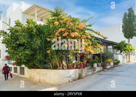 Scène de rue typique sur le Naxos une des îles des Cyclades en Grèce Banque D'Images