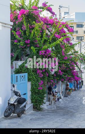 Scène de rue typique sur le Naxos une des îles des Cyclades en Grèce Banque D'Images