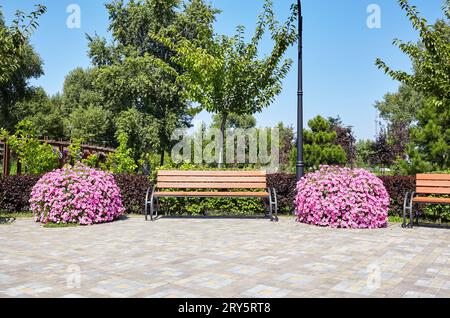 Aire de repos avec banc entouré de fleurs de pétunia en fleurs à Kiev, Europe. Place pour se reposer dans le parc de la ville Banque D'Images