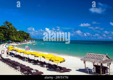 Chaises longues, parasols et cabane de bar de plage en bambou sur la plage de Chaweng, Ko Samui, Thaïlande Banque D'Images