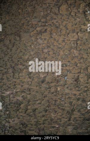 Texture de pierre, superposition de peinture pour photoshop Banque D'Images