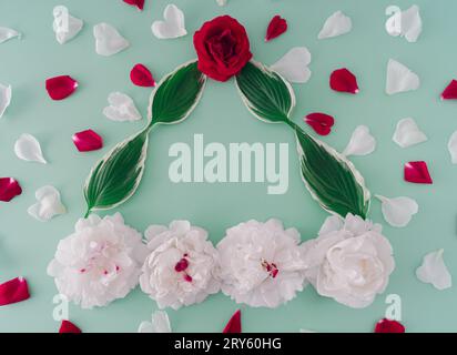 Composition créative faite avec des roses rouges et blanches, des pétales et un espace de copie sur fond vert pastel. Pose à plat, vue de dessus. Concept minimal de nature. Banque D'Images