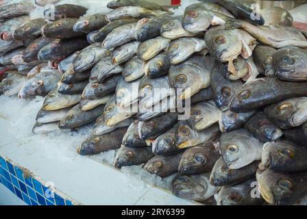 Pêchez sur des glaçons au marché aux poissons. Banque D'Images