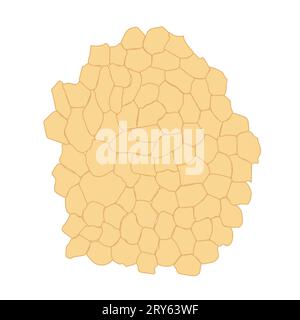 Modèle de fond médical. Tissu adipeux avec cellules jaunes. Illustration de Vecteur