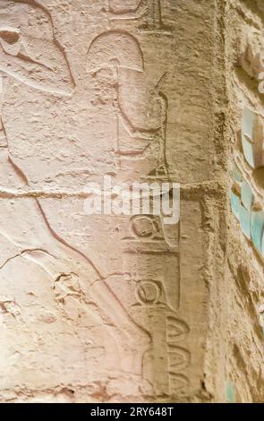 Égypte, Saqqara, pyramide de Djéser, Tombeau du Nord, un détail de la cérémonie du jubilé du roi Djéser ('fête de SED'), en bas relief. Banque D'Images
