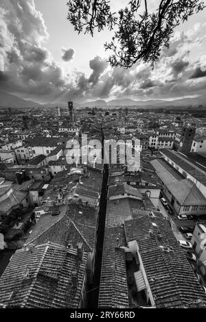 Vue de Torre Guinigi de l'impressionnant jeu de nuages à l'horizon derrière Lucca. Banque D'Images