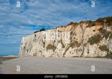 La plage et la falaise de Mers-les-bains, Picardie, France Banque D'Images