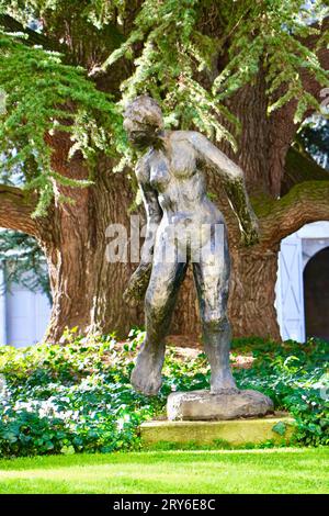 Sculpture la source devant le cèdre géant du Liban conifère à feuilles persistantes planté en 1804 Musée des Beaux-Arts de Tours jardins de Tours France Banque D'Images