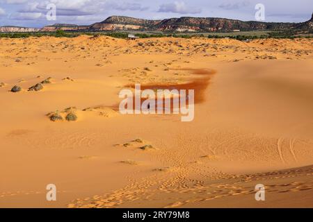 Touriste explorant Pink Coral Sand Dunes Banque D'Images