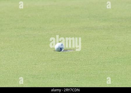 Rome, Italie. 29 septembre 2023. Lors de la Ryder Cup 2023 au Marco Simone Golf & Country Club le 29 septembre 2023 à Rome en Italie. Crédit : Agence photo indépendante/Alamy Live News Banque D'Images