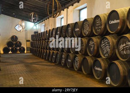 Cave à vin Bodega Caballero, à l'intérieur du château de San Marcos, el Puerto de santa María, Cadix, Andalousie, Espagne. Banque D'Images