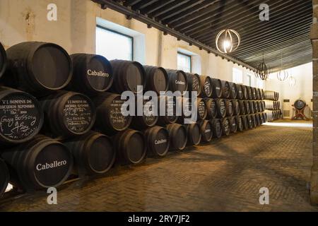 Cave à vin Bodega Caballero, à l'intérieur du château de San Marcos, el Puerto de santa María, Cadix, Andalousie, Espagne. Banque D'Images