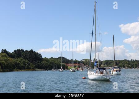 Beaulieu River regardant vers Buckler’s Hard dans la New Forest, Hampshire, Royaume-Uni Banque D'Images