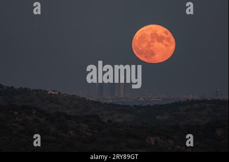 Madrid, Espagne. 29 septembre 2023. La pleine superlune de septembre, connue sous le nom de la Lune des moissons, se lève au-dessus de la ligne d'horizon avec les gratte-ciel de la zone d'affaires four Towers de Madrid marquant la quatrième et dernière superlune de 2023. Crédit : Marcos del Mazo/Alamy Live News Banque D'Images