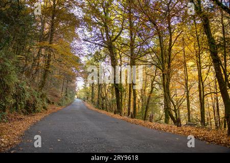 L'automne, Geres, Portugal Banque D'Images