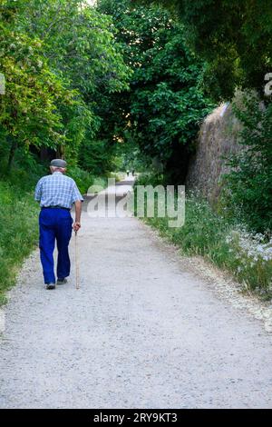 homme plus âgé marchant avec la canne pour effectuer des exercices quotidiens de marche sur un chemin de terre avec de la végétation Banque D'Images