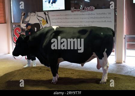 Chok Chai Farm, Khao Yai, Thaïlande - juin 2, 2019 : le chef de file explique l'installation moderne de machine à traire de vache à Chok Chai Farm, Khao Yai, Thail Banque D'Images