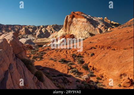 Grès rouge et blanc du parc national Valley of Fire du Nevada, près du sentier Fire Wave. Banque D'Images